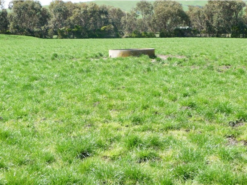 50 Woodleigh – St Helier Road, Woodleigh VIC 3945