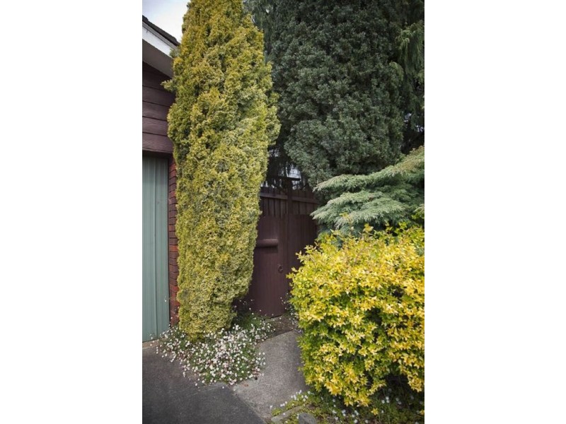 2/6 Bank Place, Drouin VIC 3818