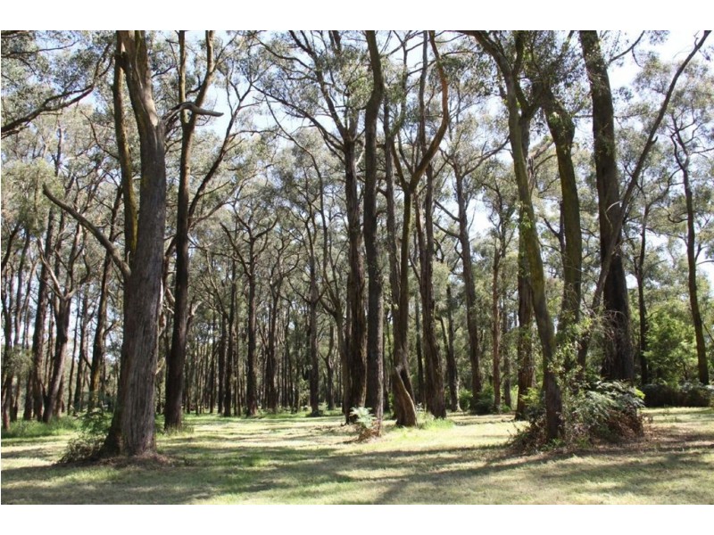 1110 Drouin Korumburra Road, Poowong North VIC 3988