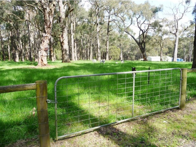 1110 Drouin Korumburra Road, Poowong North VIC 3988