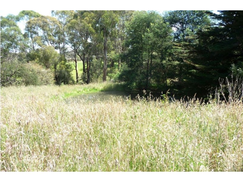1370 Main Neerim Road, Rokeby VIC 3821