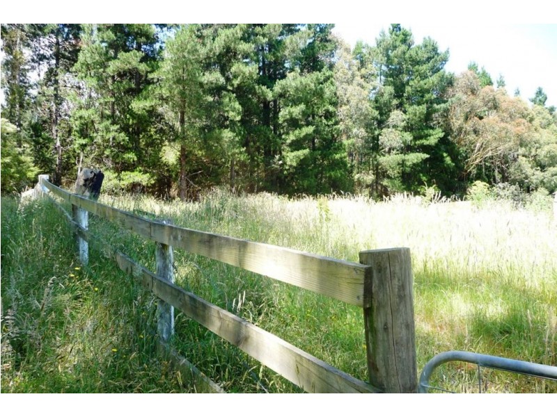 1370 Main Neerim Road, Rokeby VIC 3821