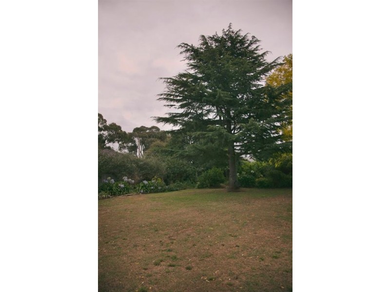 8 Pearson Street, Drouin VIC 3818