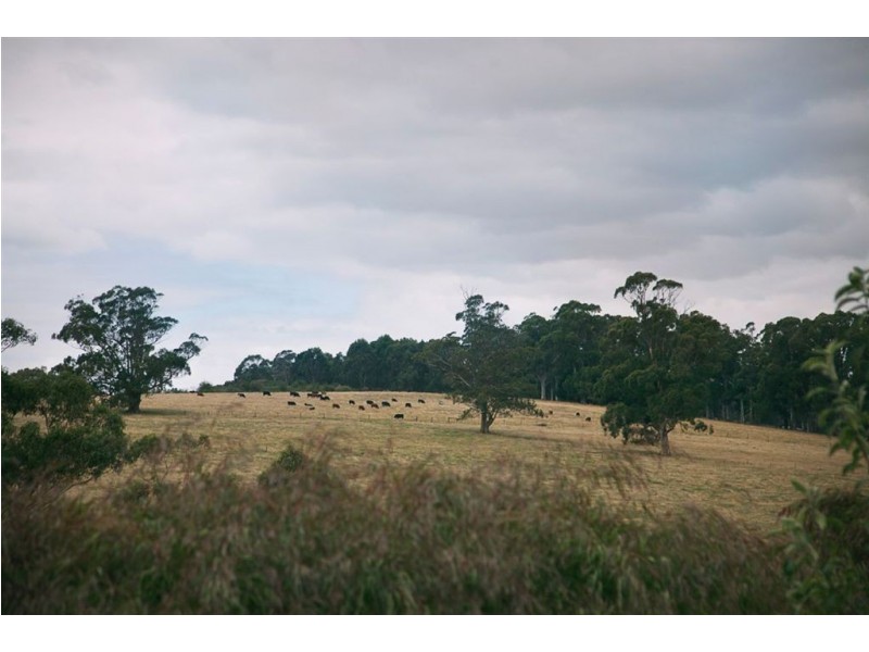 4 Carbine Court, Drouin VIC 3818