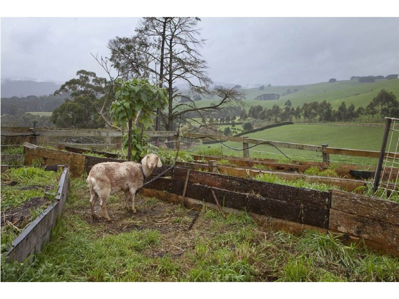 235 Wagners Road, Neerim South VIC 3831