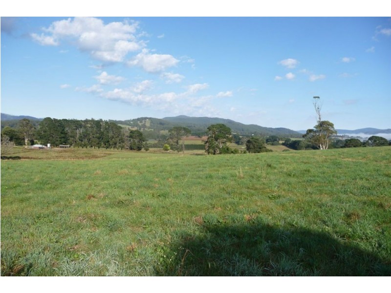 2973 Main Neerim Road, Neerim Junction VIC 3821