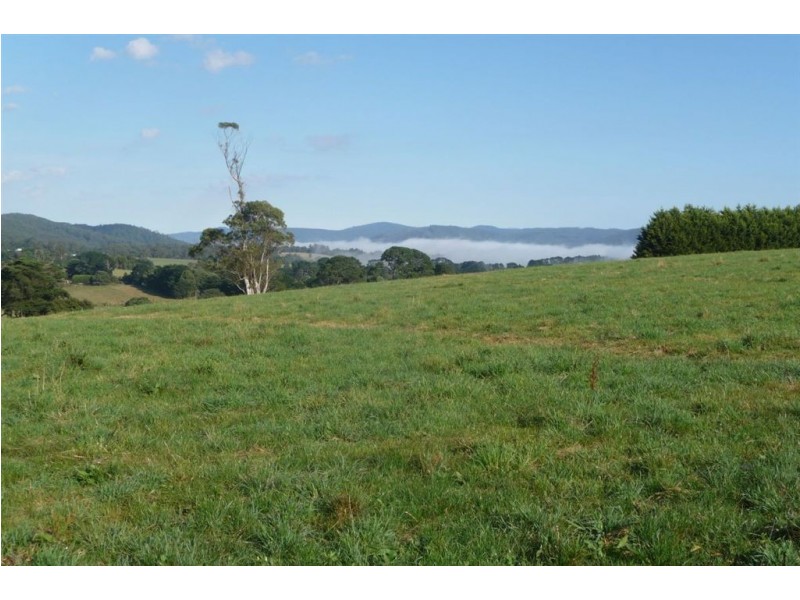 2973 Main Neerim Road, Neerim Junction VIC 3821