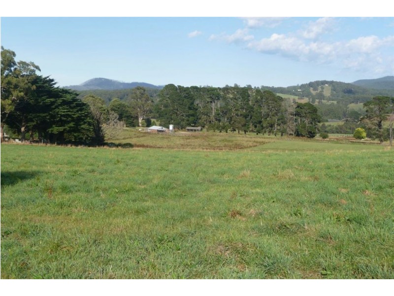 2973 Main Neerim Road, Neerim Junction VIC 3821