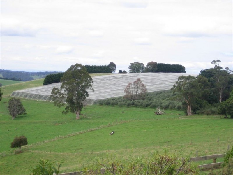 150 North Jindivick Road, Jindivick VIC 3818