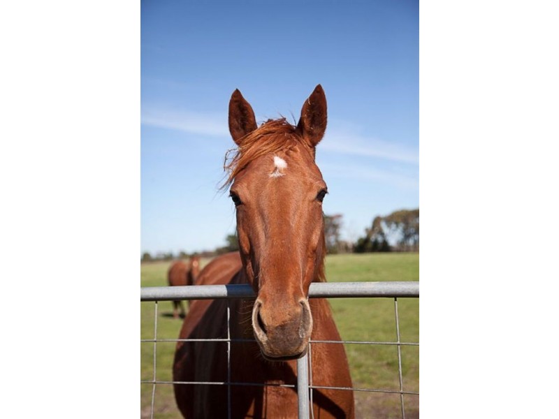 30 Evans Road, Bunyip VIC 3815