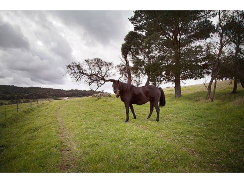 300 Garfield North Road, Garfield North VIC 3814