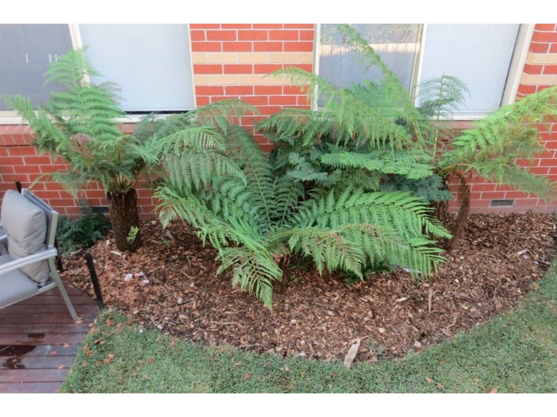 5 Nylander Road, Bunyip VIC 3815