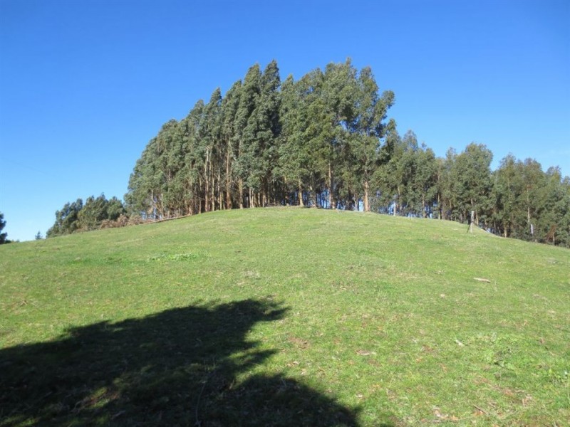 670 Ferndale Road, Ferndale VIC 3821