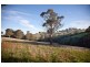 365 Sheffields Road, Neerim South VIC 3831