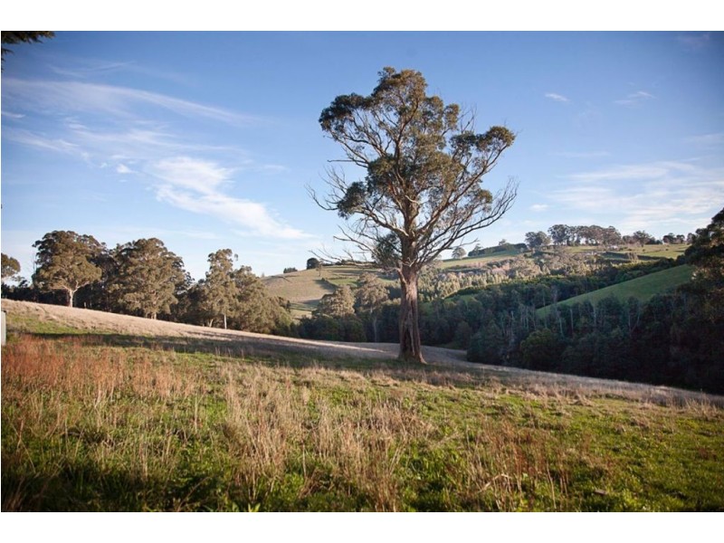 365 Sheffields Road, Neerim South VIC 3831