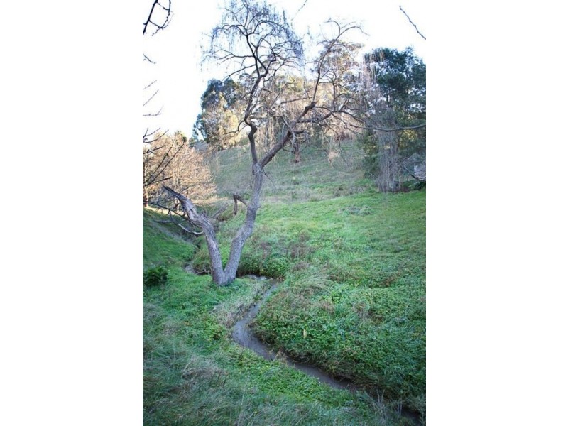 365 Sheffields Road, Neerim South VIC 3831