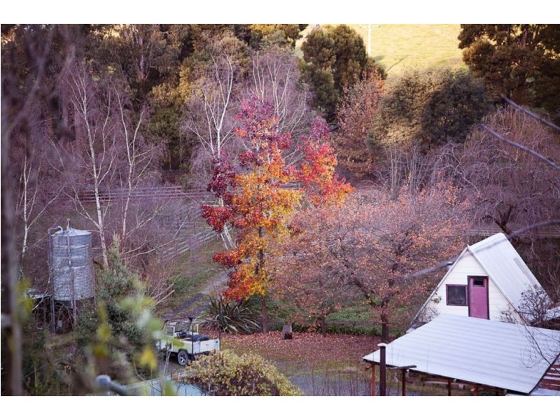 365 Sheffields Road, Neerim South VIC 3831