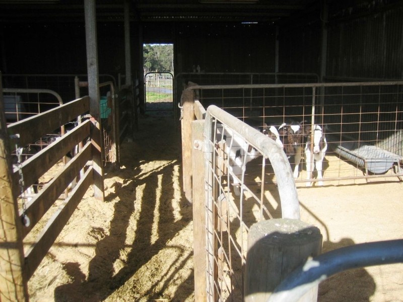 1 McClure Road, Drouin South VIC 3818