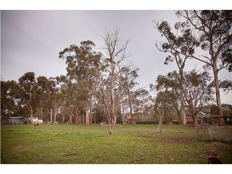 14 Pepperell Drive, Drouin VIC 3818
