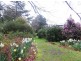 1410 Drouin Korumburra Road, Athlone VIC 3818