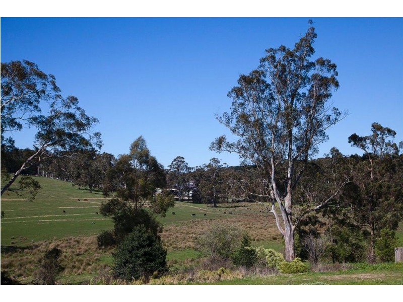 21 Carbine Court, Drouin VIC 3818