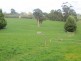 0 Main Neerim Road, Neerim South VIC 3831