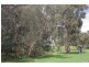 224 Bridal Road, Tonimbuk VIC 3815