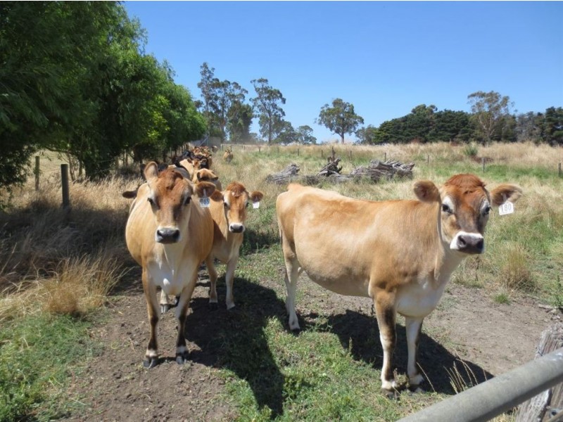 306 Old Drouin Road, Longwarry VIC 3816