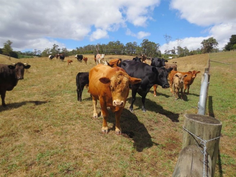 1235 Main Neerim Road, Rokeby VIC 3821