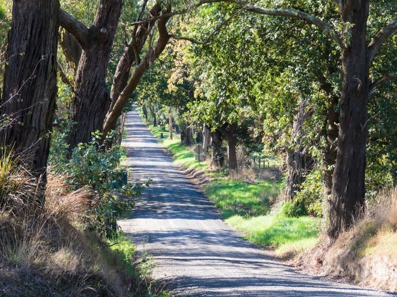 111 Shillinglaw Road, Drouin VIC 3818