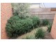 1/14-15 Janine Court, Drouin VIC 3818