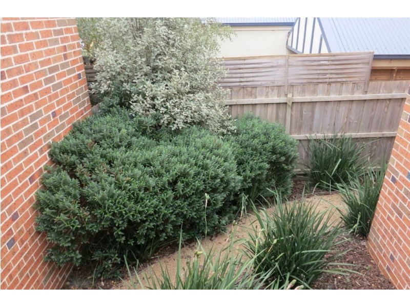 1/14-15 Janine Court, Drouin VIC 3818