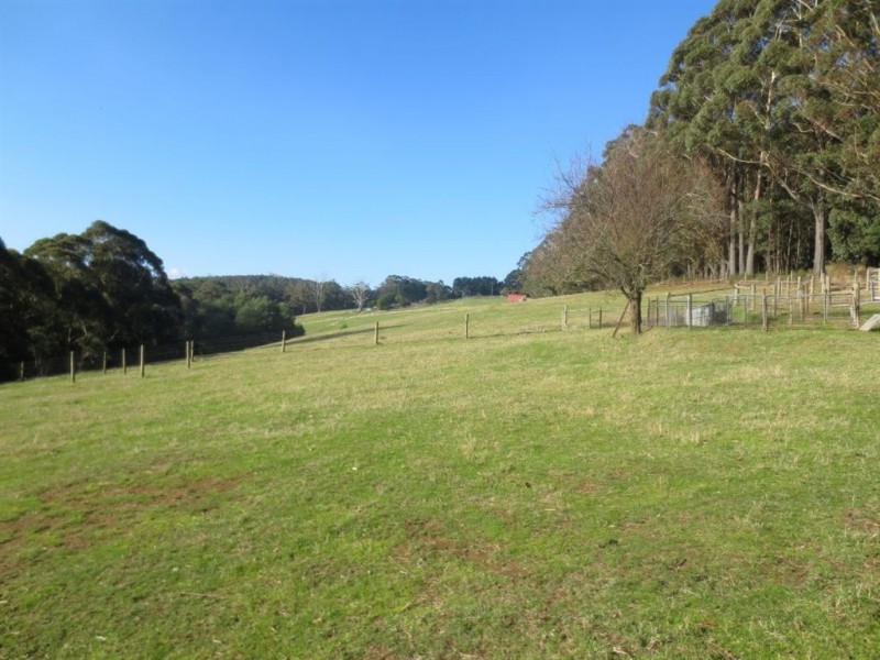 837 Jacksons Track, Jindivick VIC 3818