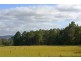 815 Western Creek Road, Dairy Plains TAS 7304