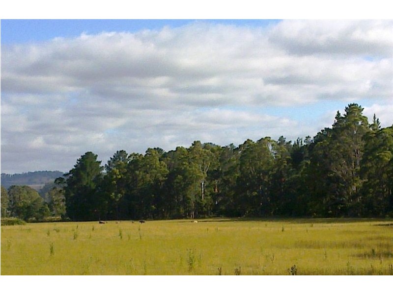815 Western Creek Road, Dairy Plains TAS 7304