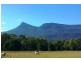 815 Western Creek Road, Dairy Plains TAS 7304
