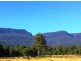 815 Western Creek Road, Dairy Plains TAS 7304