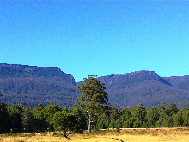 815 Western Creek Road, Dairy Plains TAS 7304