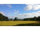 815 Western Creek Road, Dairy Plains TAS 7304