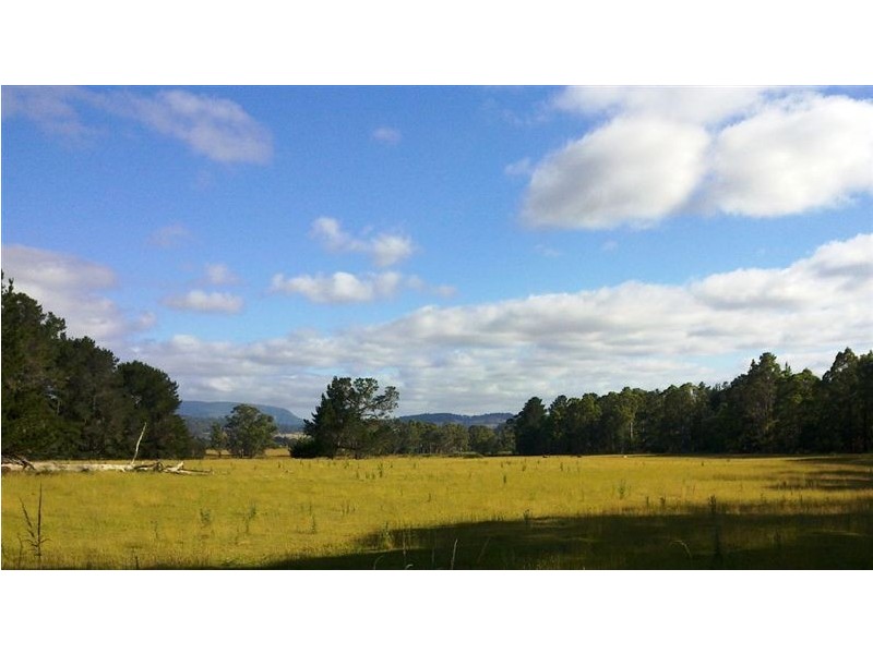 815 Western Creek Road, Dairy Plains TAS 7304