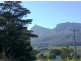 815 Western Creek Road, Dairy Plains TAS 7304