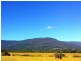 815 Western Creek Road, Dairy Plains TAS 7304