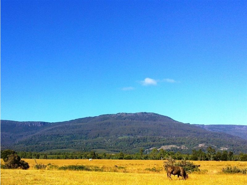 815 Western Creek Road, Dairy Plains TAS 7304