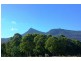 815 Western Creek Road, Dairy Plains TAS 7304