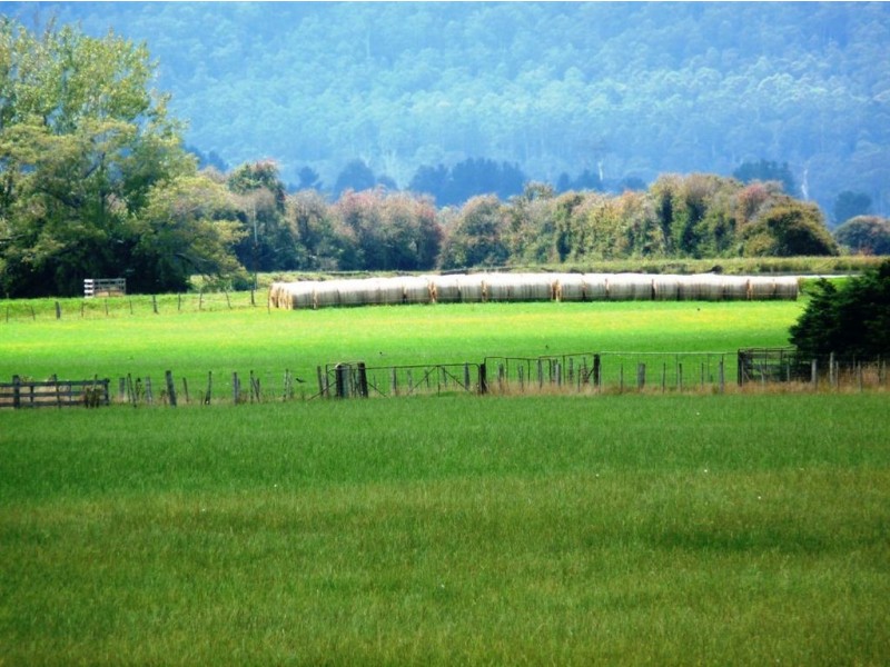 122 Bankton Road, Dairy Plains TAS 7304