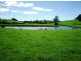 16931 Bass Highway, Flowerdale TAS 7325