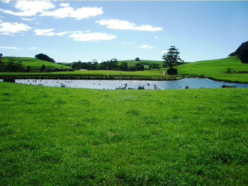 16931 Bass Highway, Flowerdale TAS 7325