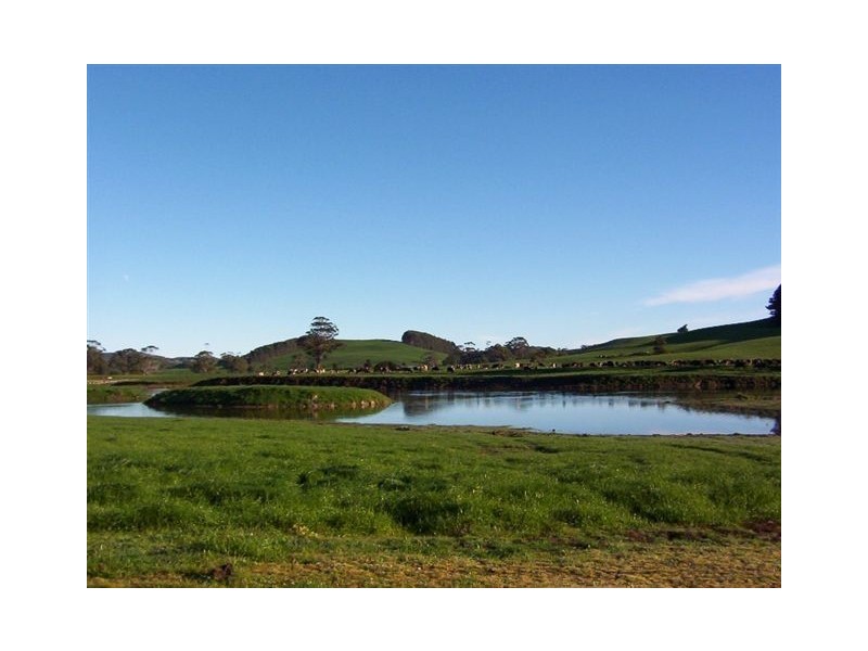 16931 Bass Highway, Flowerdale TAS 7325