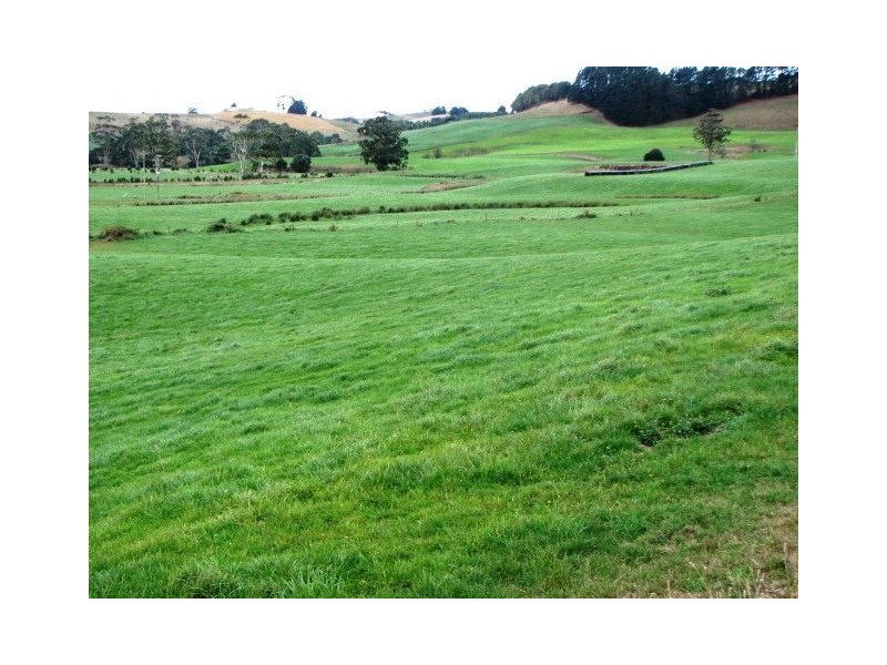 16931 Bass Highway, Flowerdale TAS 7325