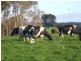 16931 Bass Highway, Flowerdale TAS 7325